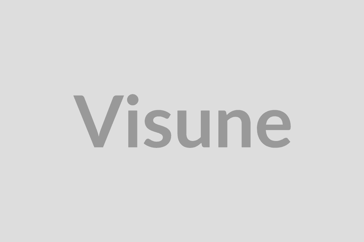 Visune logo
