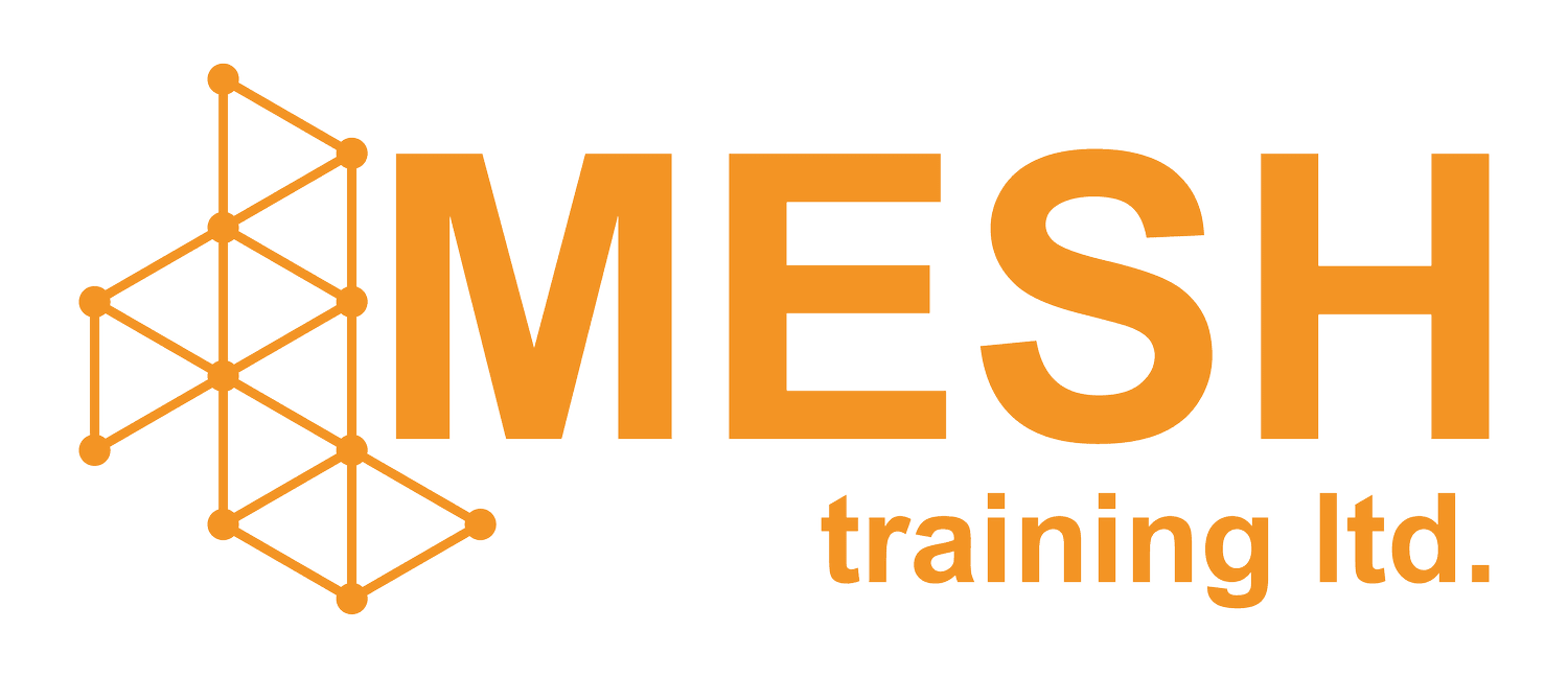 Mesh Training