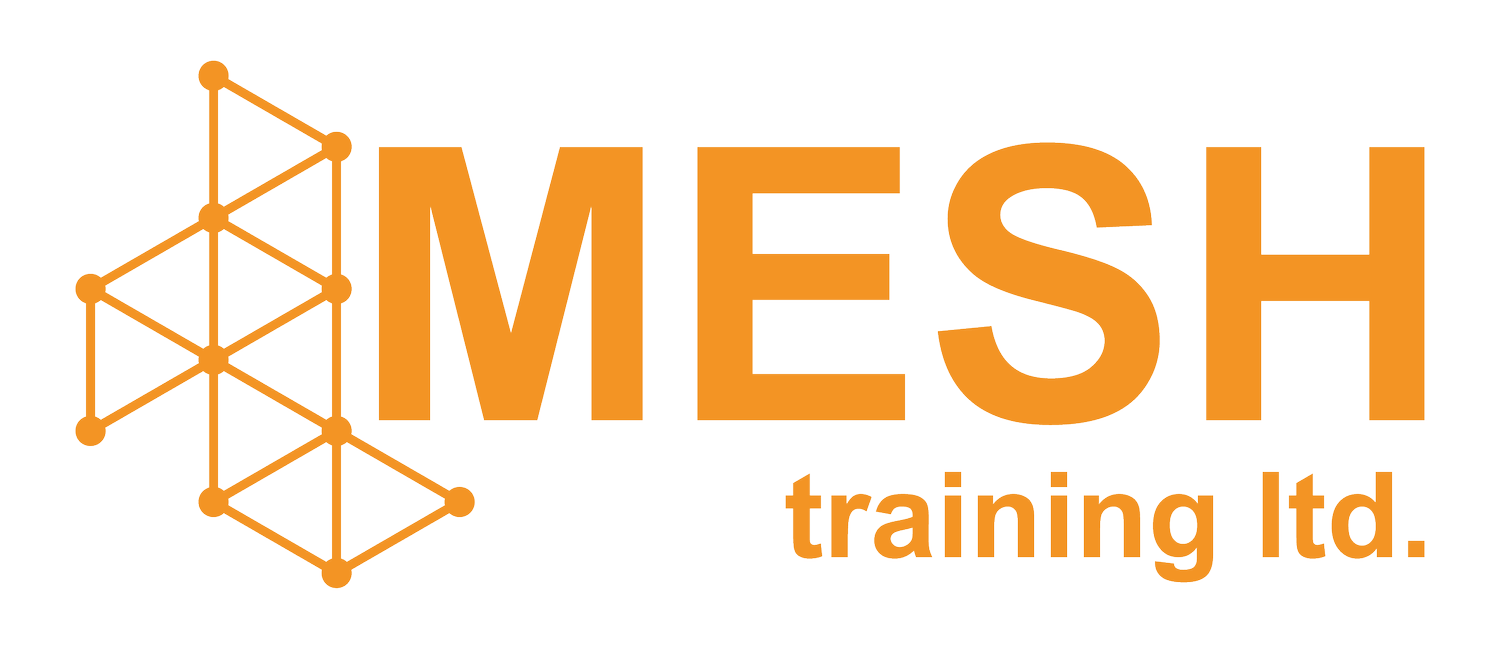 Mesh Training