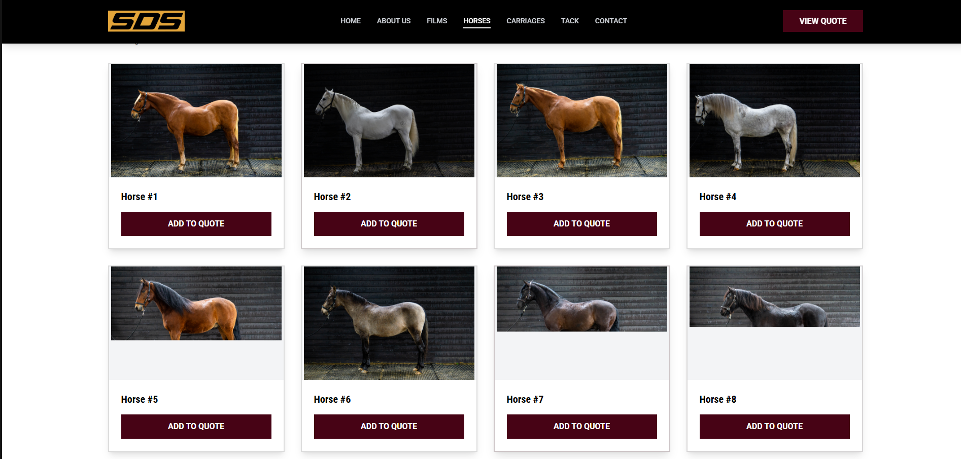 Steve Dent Stunts horses page