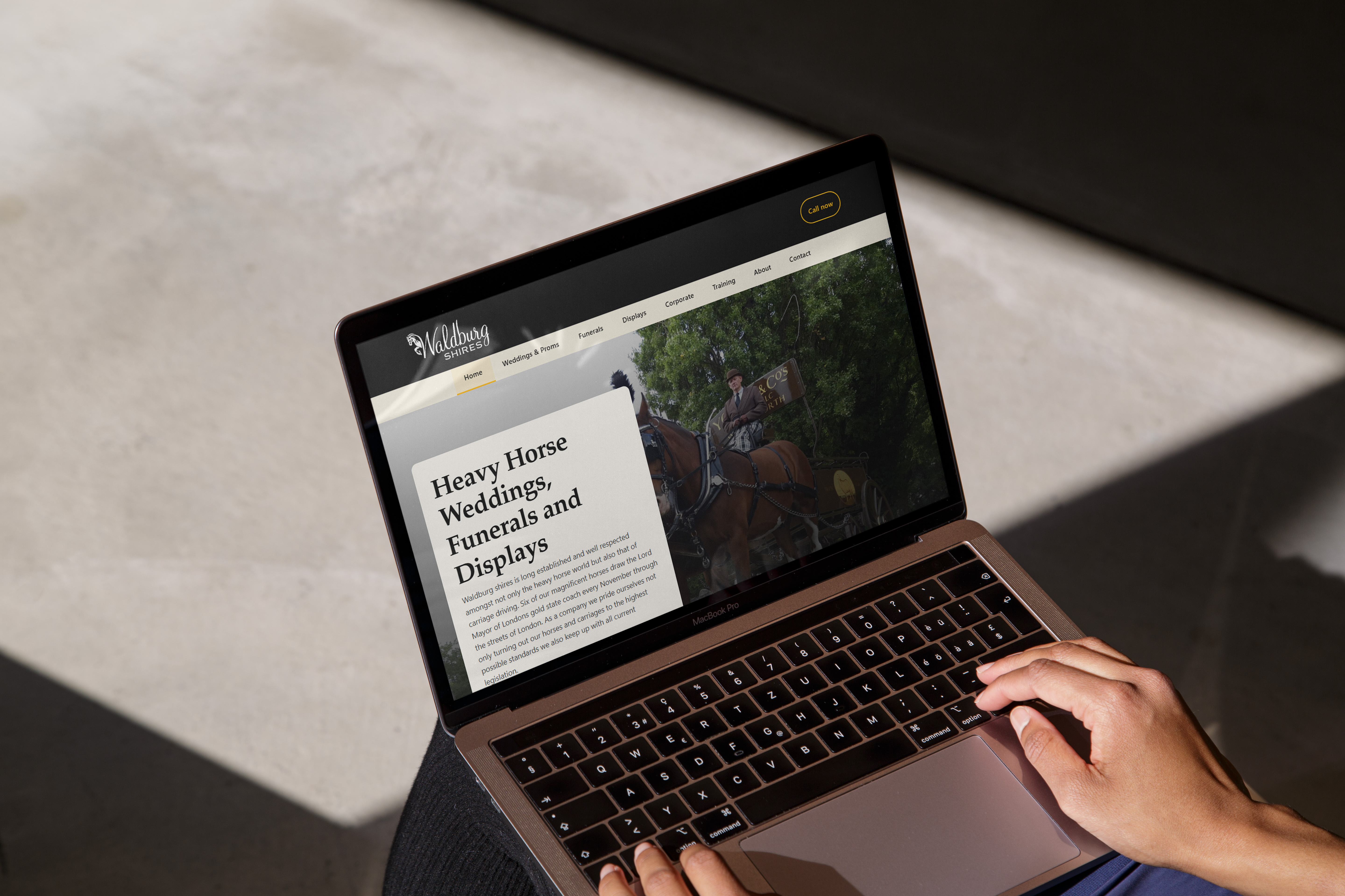 Waldburg Shires horse-drawn carriage hire — website redesign and SEO by EverydayCreatives